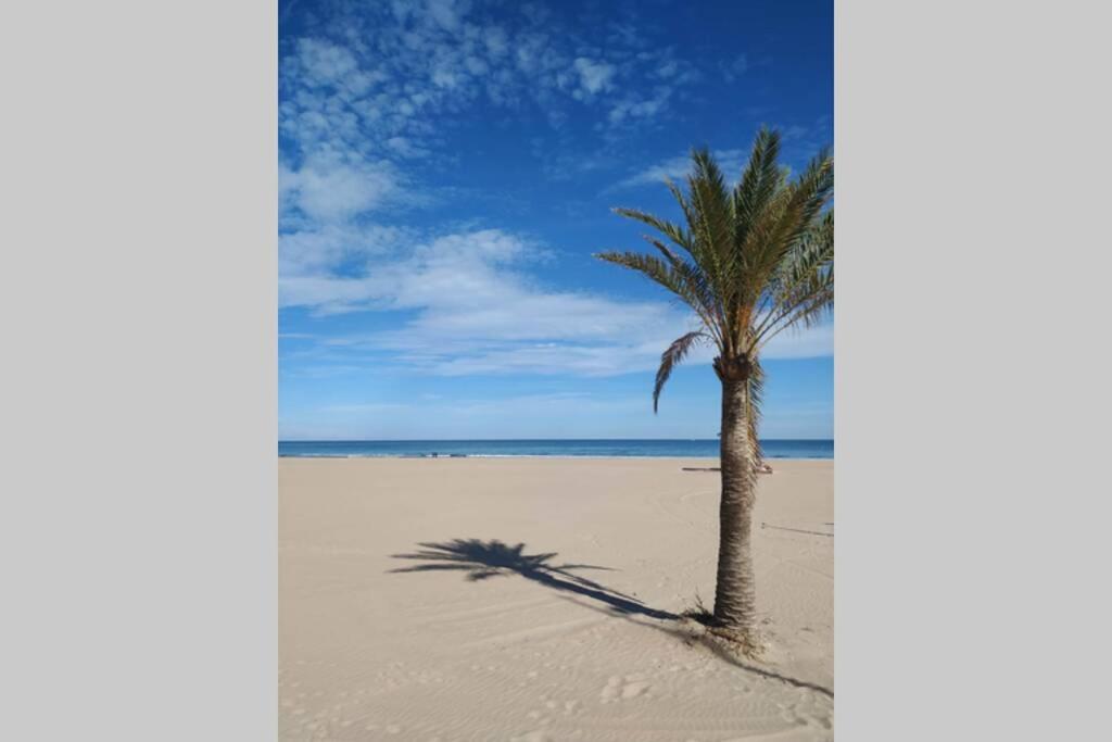 شقة El Alema I. Apartamento De Diseno En Gandia. المظهر الخارجي الصورة